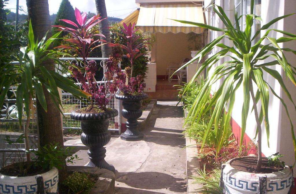 Villa Acajou Sur Mer Port Mathurin Bagian luar foto